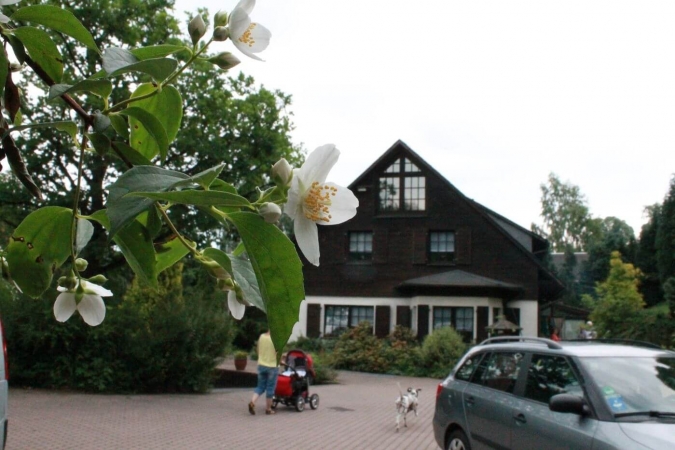 willkommen_wohngruppe_haus_nassau